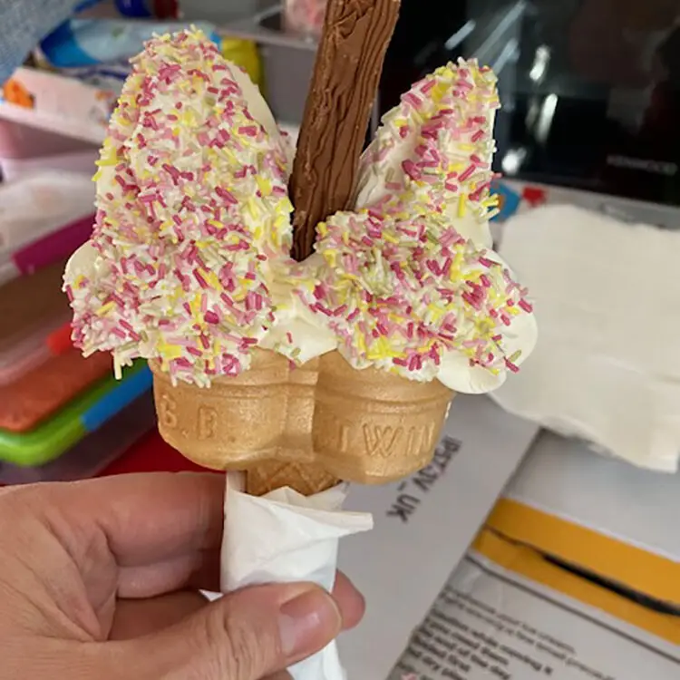 gourmeticecreamservices-22