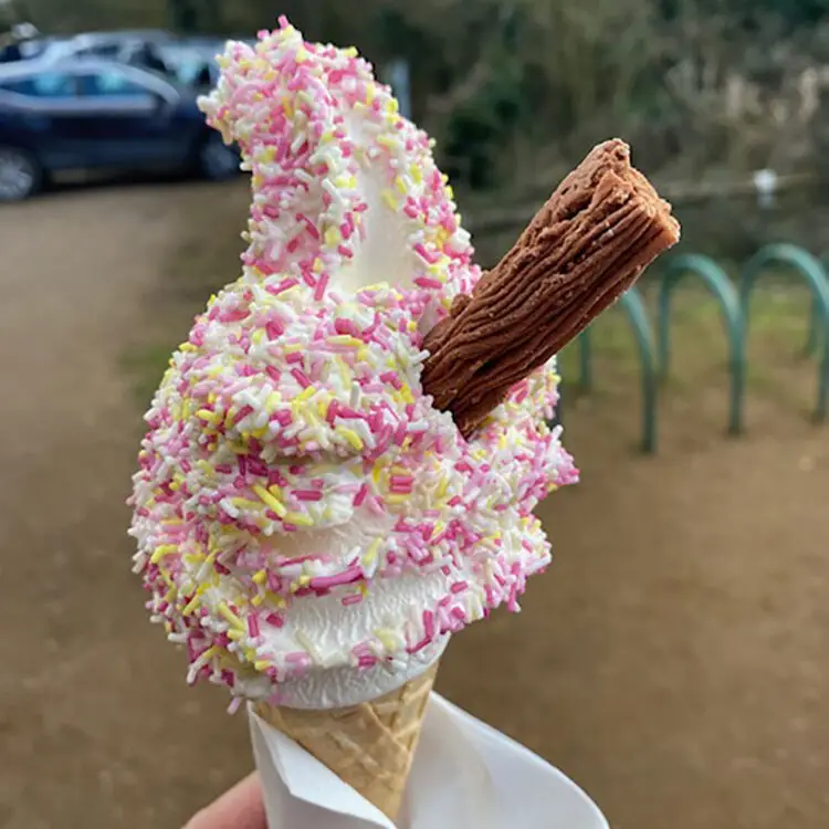 gourmeticecreamservices-28