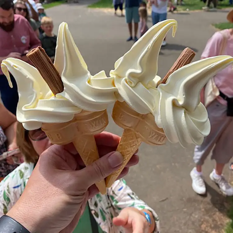 gourmeticecreamservices-17